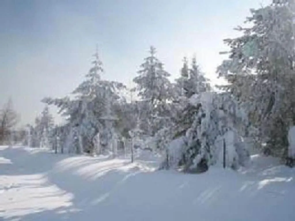 Holiday home Family- Friendly Apartment In Bavarian Forest Prackenbach