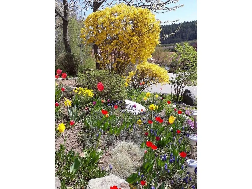 Holiday home Family- Friendly Apartment In Bavarian Forest Prackenbach Germany