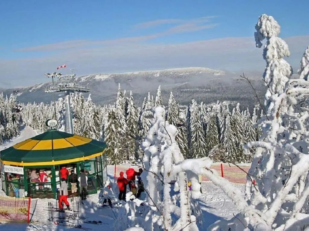 Family- Friendly Apartment In Bavarian Forest Prackenbach
