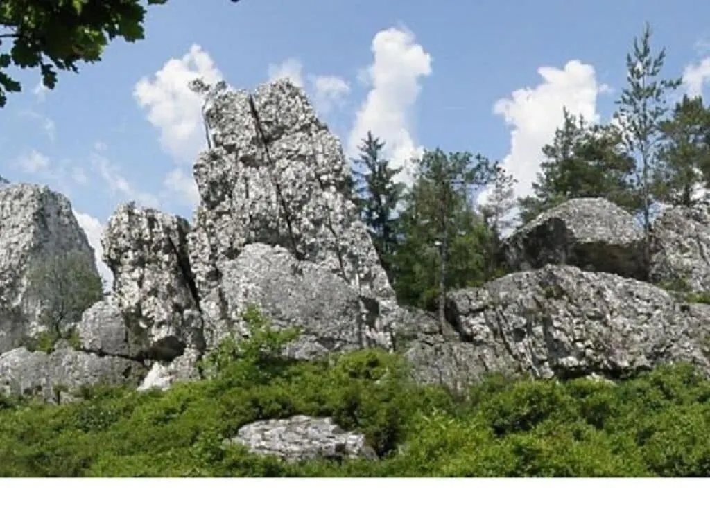 Family- Friendly Apartment In Bavarian Forest Prackenbach Germany