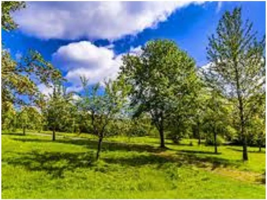 Family- Friendly Apartment In Bavarian Forest Prackenbach