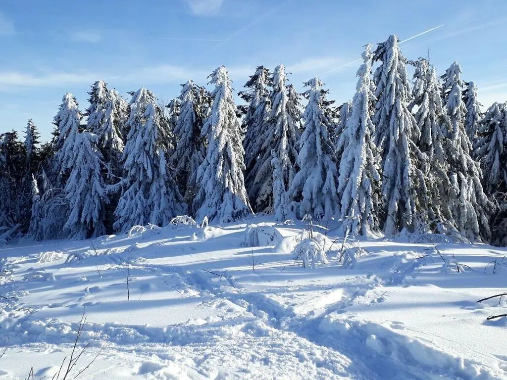 Family- Friendly Apartment In Bavarian Forest Prackenbach